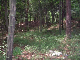 塚本山古墳群遺構の写真2