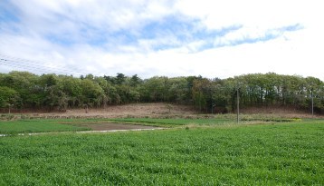 塚本山古墳群遺構の写真1